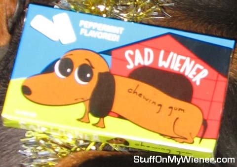 Close-up of Schnitzel’s gum.