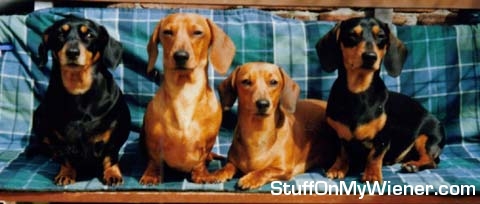 Amy and Monty with daughter Daphne and son Oscar.