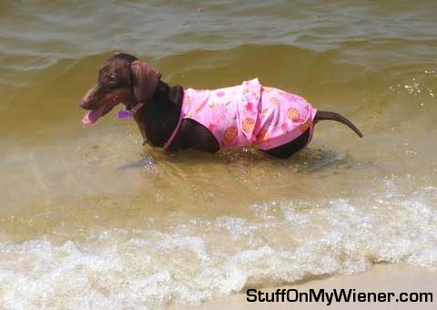 Anya at the beach for her 2nd birthday.