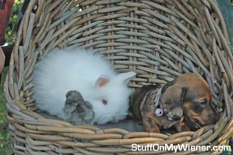 Bijke with her buddy the bunny.