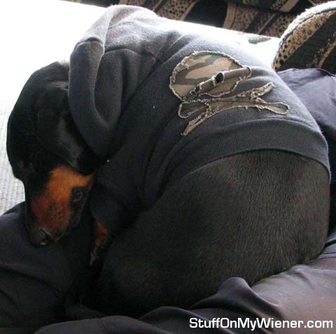 Jack in a hoodie sleeping on daddy’s lap.