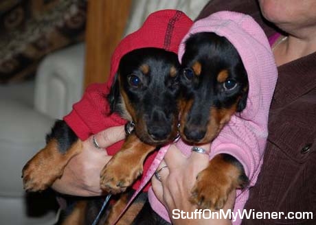 Katie and Brody in their new hoodies.