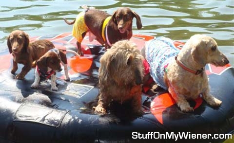 Wiener raft.