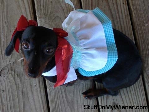 Scarlet as Dorthy from the Wizard of Oz.