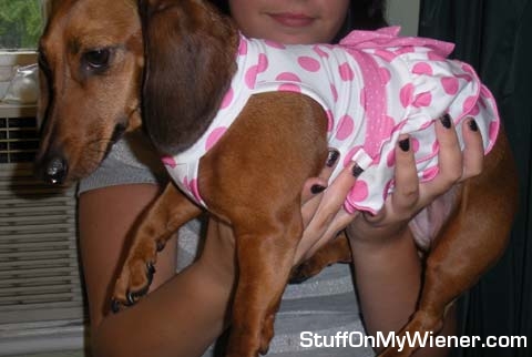 Toby not so thrilled with her new party dress.