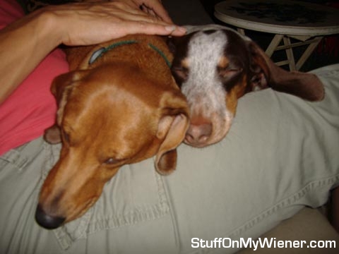 Yocco and Jesse pooped after wrestling.