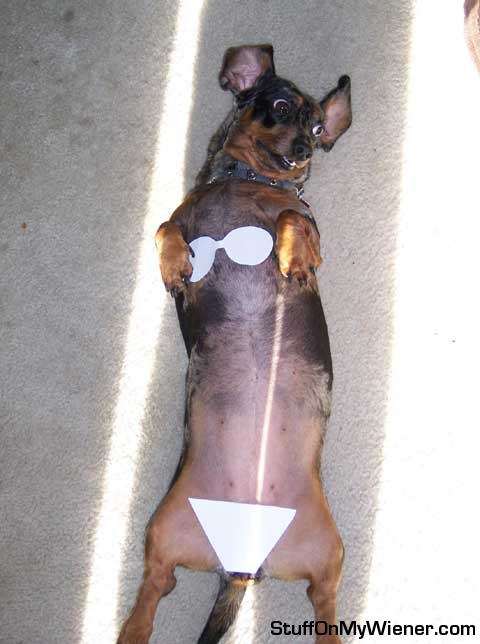 Abbey in a paper bikini laying in the sun.