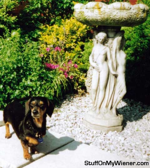 Alice in the garden with the Three Graces.