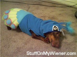 Anya in peacock costume.