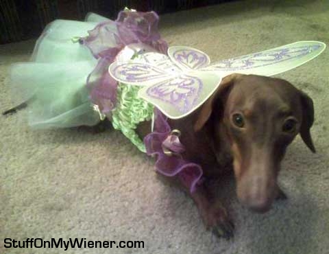 Anya as Tinker Bell.