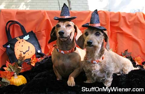 Chloe Marie and Ilsa - witchy.