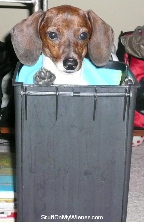 Frankenstein in his after meal mailbox.