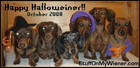 Jackson, Abbie, Macy, Marley, Kallie & Lilly Halloween costumes.