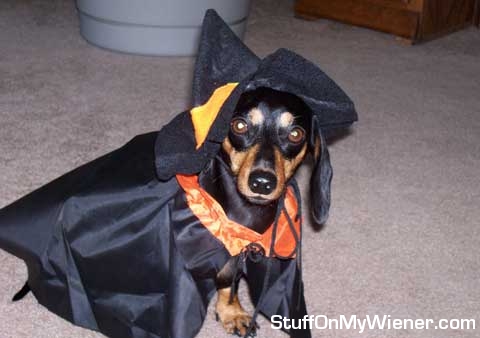 Kelley in witch costume.