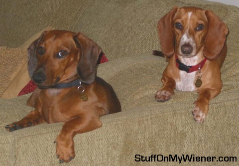 Nathan Frankie Couch