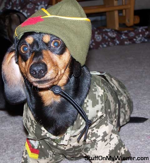 Penny in a full camouflage costume/uniform.