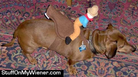 Punkin in his cowboy costume.