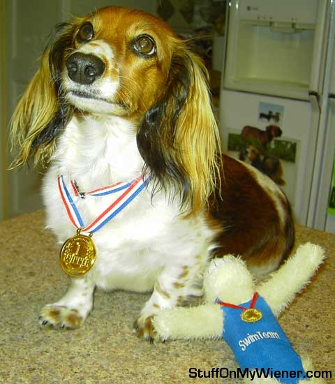 Wrigley wins Gold in doggie paddle.