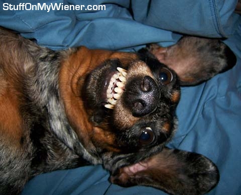 Abbey smiles for the camera!