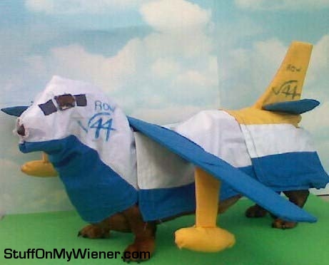 Cooper in an Albatross plane costume.