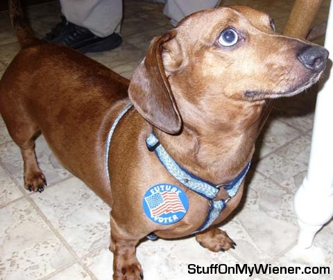 Duke with his “Future Voter” sticker.