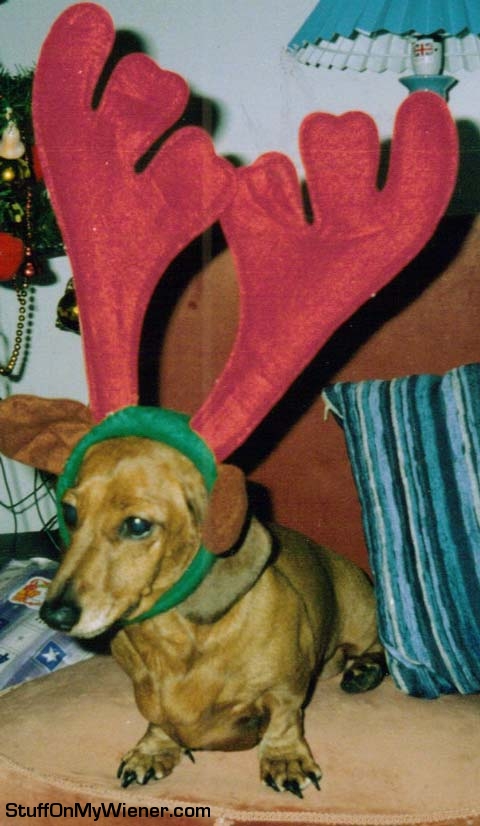 Emily pictured here at Christmas in Rudolph’s antlers.