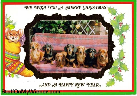 Ellie, Amy, Monty, Alice, Emily, Oscar, and Daphne Christmas wishes.