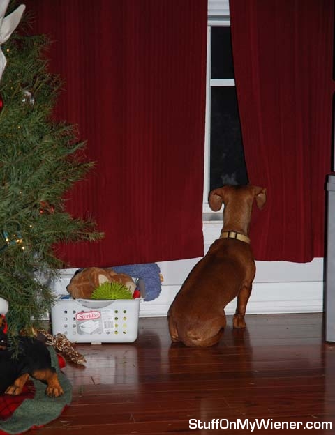 Abby says goodbye to Santa.