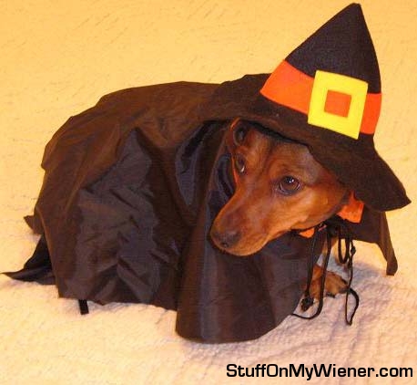 Annabelle in a witch costume.