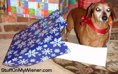 Beans thinks he’s the perfect present.