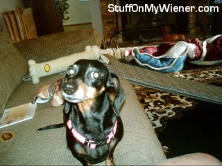 Brandy saying HELLO to the camera.