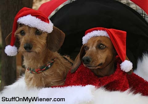 Ilsa and Chloe-Marie Christmas pose.