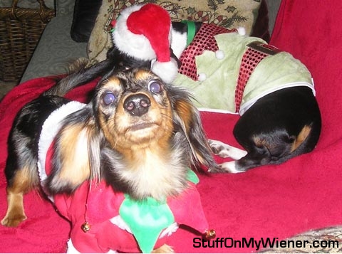 Sir Otis Beauregard and Lady Izabella in x-mas costume.