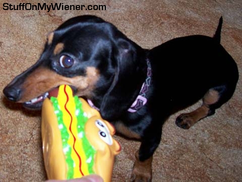 Kelley takes a bite out of her new burger.