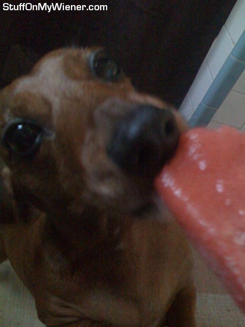 Lexie licking a fruit pop.