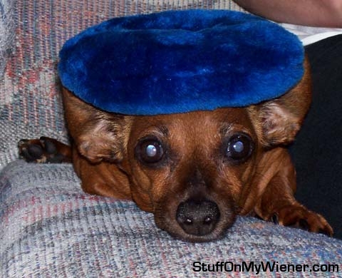 Minnie with her toy on her head.