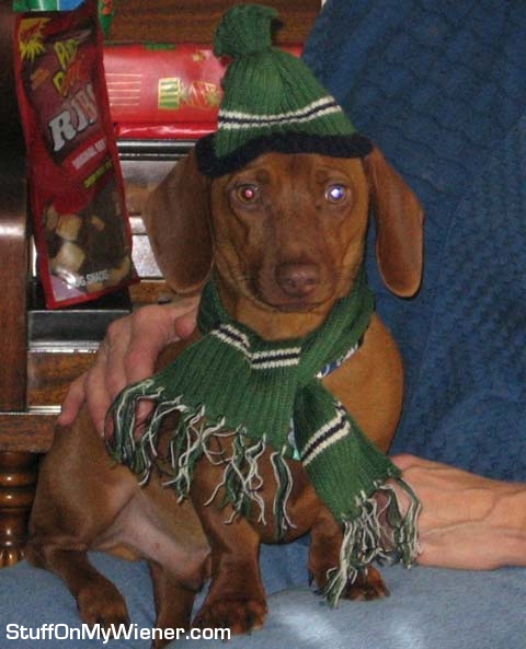 Oliver in holiday cap and scarf.