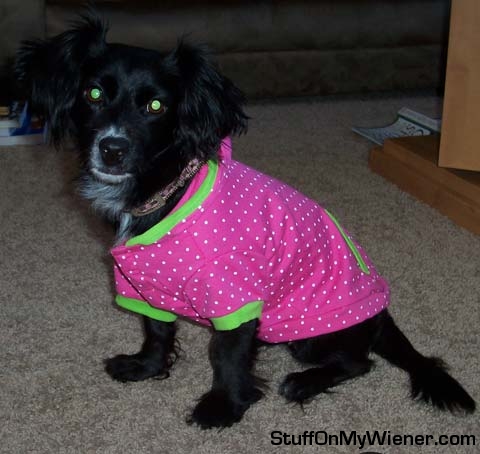 Phoebe in a pink polka dot shirt.
