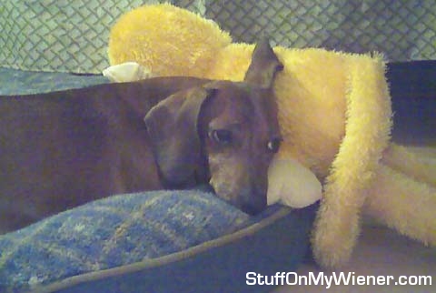 Andy and his yellow monkey.