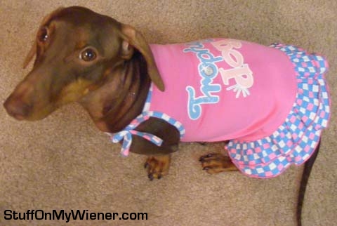 Anya in a Trophy Dog dress.