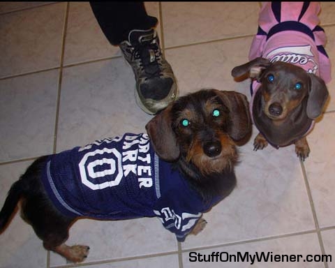 Bonnie and Ozzy in football and cheerleader uniforms.