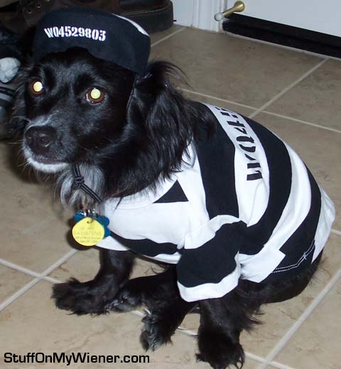 Phoebe in a convict costume.