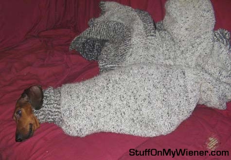 Ed found his way down a sweater sleeve.