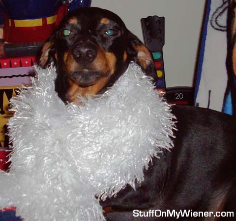 Francis Bean in his favorite boa.