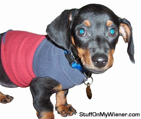 Francis Bean in a sleeve sweater.