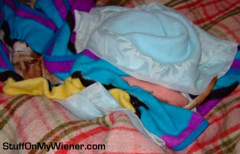 Junior asks for more blankets.