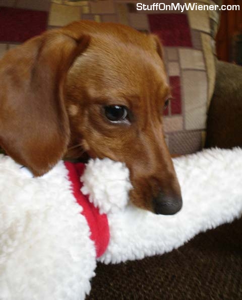 Lexie and her new merdog toy.