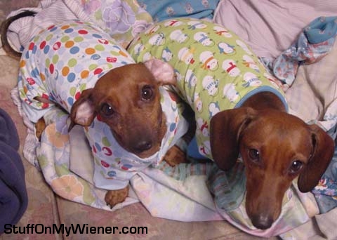 Simone and Tevez slumber party.