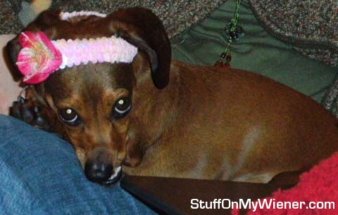 Sophie with a flower headband.