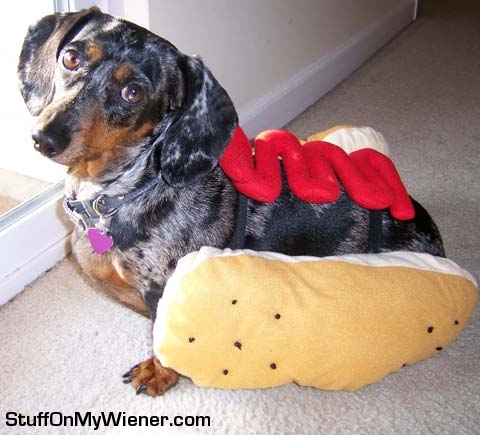 Abbey in a hot dog costume.
